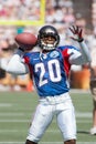 Ronde Barber, 2007 NFL Pro Bowl Game