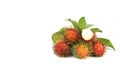 Rongrien Nasan Rambutan is  the most famous rambutan species in Thailand Royalty Free Stock Photo