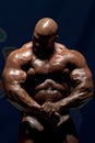Ronnie Coleman Royalty Free Stock Photo