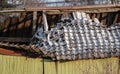 Roof of an abandoned barn collapsing.. Royalty Free Stock Photo