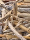 Roof of barrack on beach.