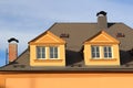 A roof of big city house with two bricks chimneys with metal caps and two roof hatches and two dormers in a neoclassical style wit