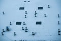 the roof of the building covered with snow with traces of bird legs