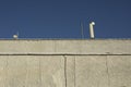 Roof of building. Wall details. Wall without windows Royalty Free Stock Photo