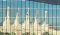 Roof of Canada Place reflected in windows.