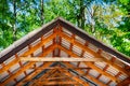 Roof canopy under birch trees in spring forest Royalty Free Stock Photo