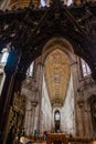 Roof and carved screen at Ely cathedral Royalty Free Stock Photo