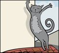 Roof cat gesturing Royalty Free Stock Photo