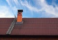 Roof chimney and a ladder