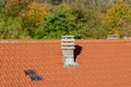 roof and construction detail, double-pitched roof with self-locking tiles, with glass tiles to give interior light