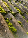 A roof covered in green moss on a stone wall Royalty Free Stock Photo