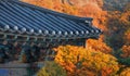 Roof detail Fish Wind Chime at Korean Buddhist Temple