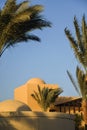 Roof with domes of arabic building and palm trees on hot sunny day against clear sky. Egyptian house exterior. Copy space.