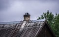 Roof and facade with a window of an old wooden country house Royalty Free Stock Photo