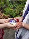 Roof Friends Love Flower Hands