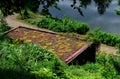 The roof of a garden house or chaupy with a flat, undemanding green roof with succulents and colorful rock gardens. park roof by t