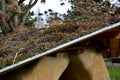 the roof of a garden house or chaupy with a flat, Royalty Free Stock Photo