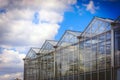 Roof glass transparent greenhouses