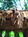 The roof of the grass is a bunch of leaves tied together to use as a roof to protect against the sun