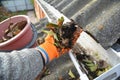 Roof Gutter Cleaning from Leaves in Autumn with hand. Roof Gutter Cleaning Tips. Royalty Free Stock Photo