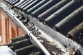 Roof gutter cleaning in spring. A close-up of a dirty clogged roof gutter with debris, leaves and water when snow is melting