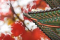 Roof of Gyeongbukgung and autumn background in seoul, korea