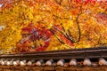 Roof of Gyeongbukgung and Maple tree in autumn. Royalty Free Stock Photo