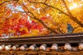 Roof of Gyeongbukgung and Maple tree in autumn. Royalty Free Stock Photo