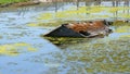 Roof of Horse Stall Under Water Royalty Free Stock Photo