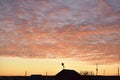 Roof of a house with a chimney on the background of the evening sky with clouds Royalty Free Stock Photo