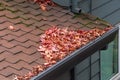 Leaves clogging rain gutters on a roof