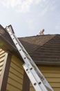 Roof inspector Royalty Free Stock Photo