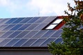 photovoltaic PV solar panels on sloped residential clay tile roof. green pine tree branches in the foreground Royalty Free Stock Photo