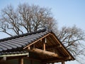 The roof of the Japanese temple in green trees. Royalty Free Stock Photo