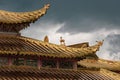 Roof of the Jiayuguan fortress in China