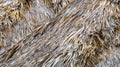 Roof made with a lot of dry palm tree leaves Royalty Free Stock Photo