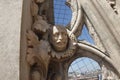 The roof of the Milan Cathedral. Italy, europe. Royalty Free Stock Photo