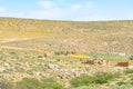 Roof of Namaqualand trail Royalty Free Stock Photo