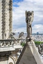 Roof of Notre Dame de Paris Royalty Free Stock Photo