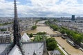 Roof of Notre Dame de Paris Royalty Free Stock Photo