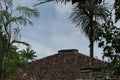 The roof of the old house is brownish between the trees next to it.