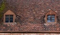 Roof of an old house with two dormers