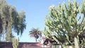 Roof of old mexican house tiled, ceramic clay tiles. Suburban California garden. Royalty Free Stock Photo