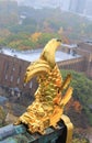 Roof ornament at Osaka Castle in the form of shachi Royalty Free Stock Photo