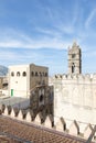 On the roof of Palermo cathedral Royalty Free Stock Photo