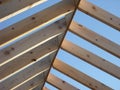 Roof Rafters Royalty Free Stock Photo