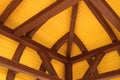 Roof ridge and rafters Royalty Free Stock Photo