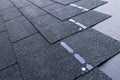 Roof shingles