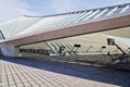 Roof of the station Guillemins by architect Calatrava