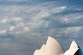 Roof of Sydney Opera House with water plane above